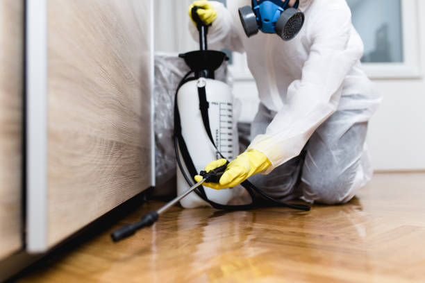 Best Bed Bug Extermination  in Turley, OK