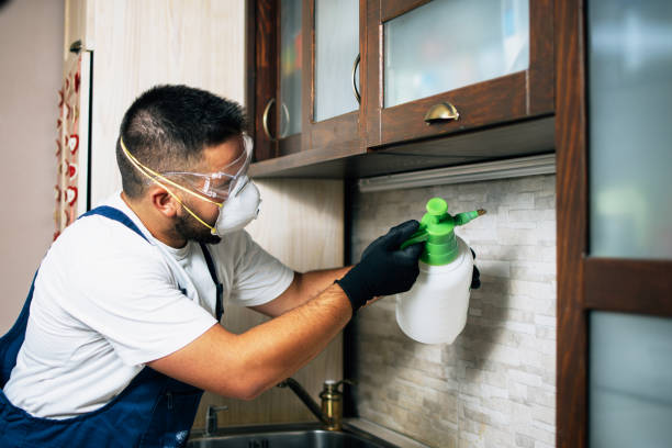 Best Cockroach Control Services  in Turley, OK