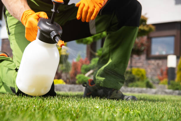 Best Residential Pest Control  in Turley, OK