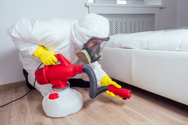 Best Flea Control Services  in Turley, OK