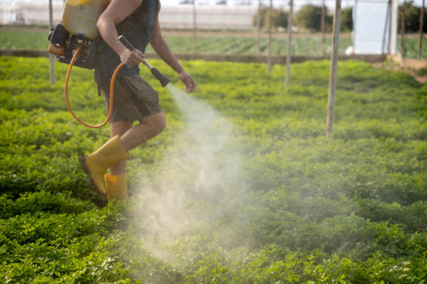 Best Mosquito Control Services  in Turley, OK