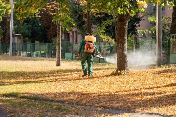 Best Affordable Pest Control Services  in Turley, OK