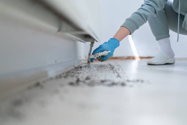 Best Affordable Pest Control Services  in Turley, OK