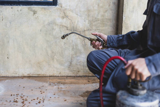 Pest Prevention Services in Turley, OK